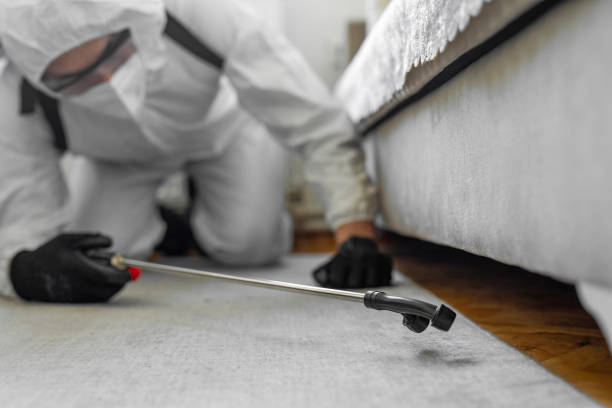 Professional Termite Control technician working in Boonville, IN