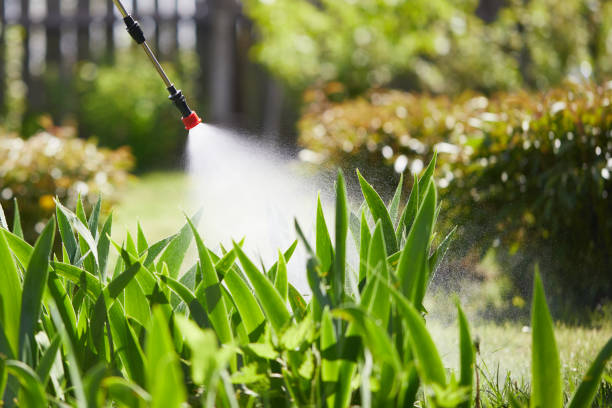 24/7 Emergency Termite Control experts in Boonville, IN