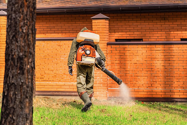 Top rated local Termite Control specialists in Boonville, IN